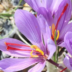 Meet your Posher, Tina